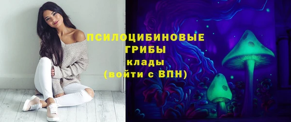 Альфа ПВП Алзамай