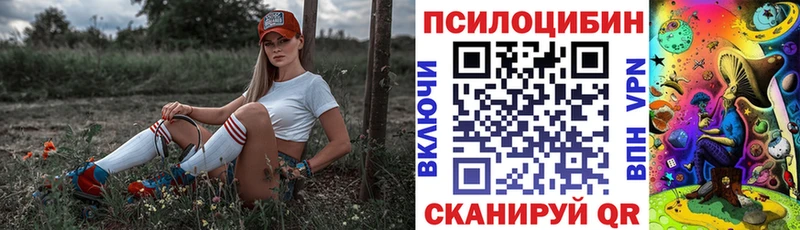 Псилоцибиновые грибы мицелий  Исилькуль 